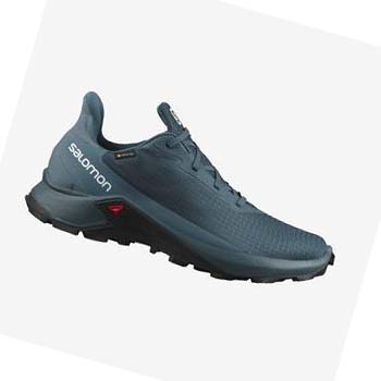 Salomon ALPHACROSS 3 GORE-TEX Trailove Bezecke Tenisky Panske Modre | SK 2087RVD